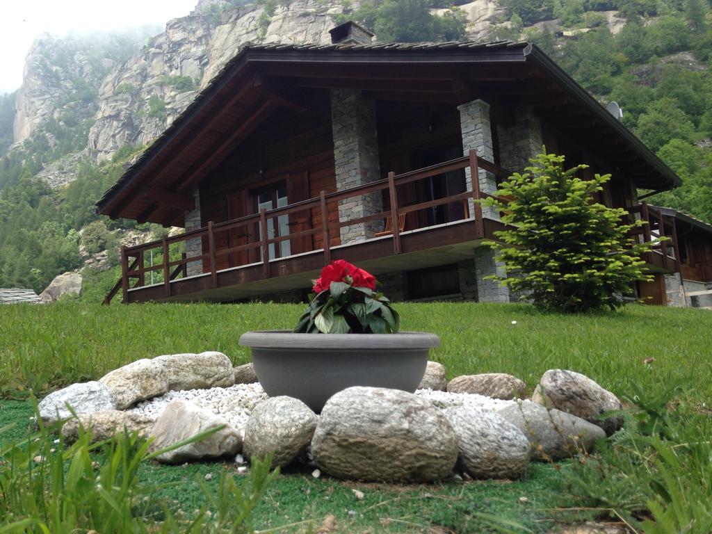 Bed and Breakfast Il Maiolandro à Noasca Extérieur photo