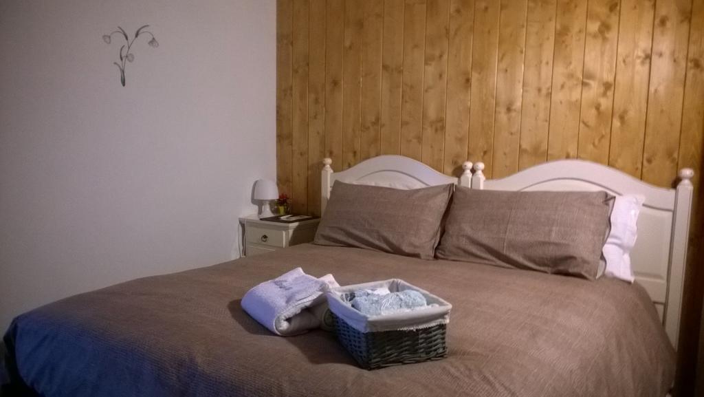 Bed and Breakfast Il Maiolandro à Noasca Extérieur photo